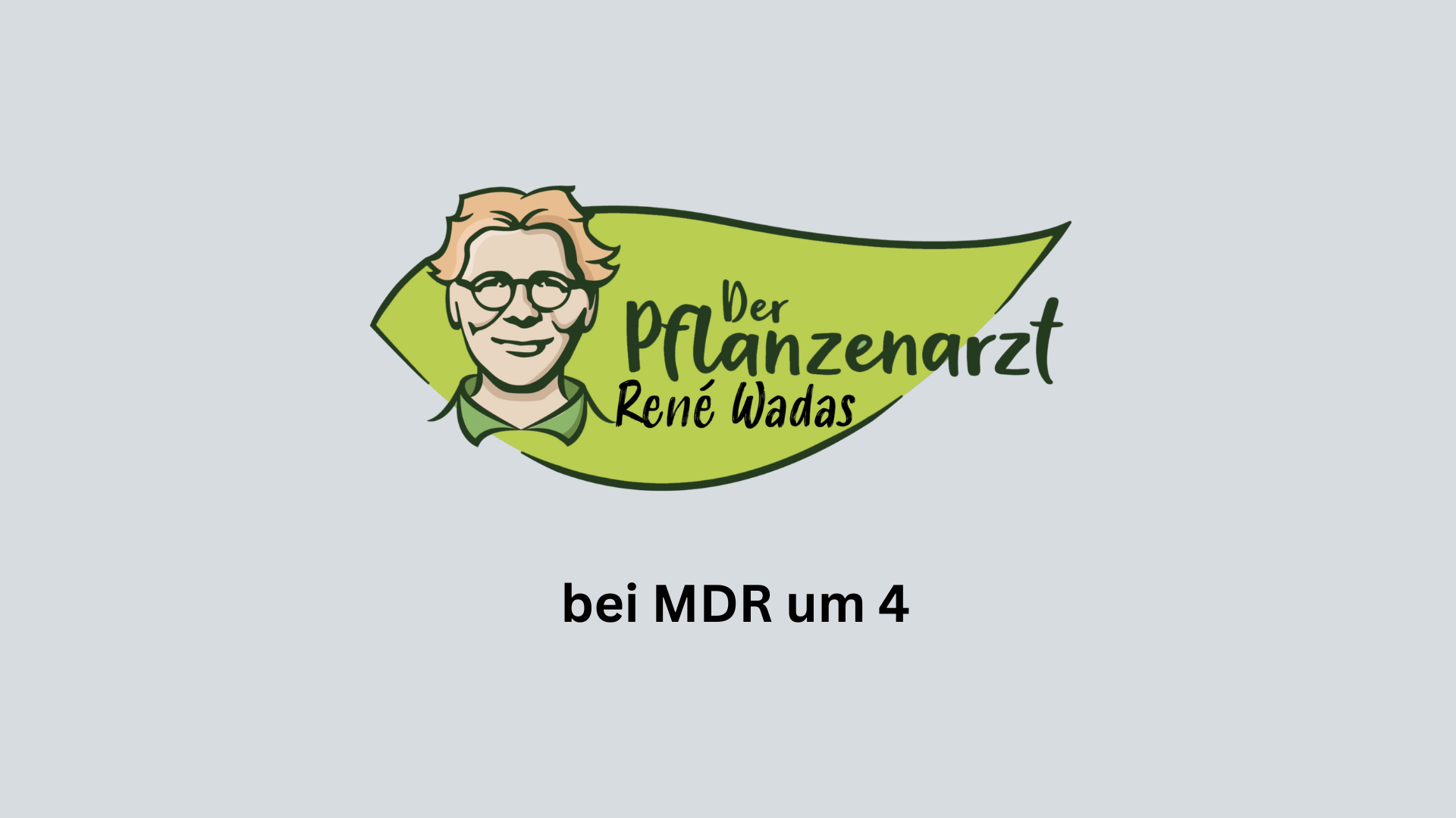 Gelber Druckspr&uuml;her von MESTO im Einsatz gegen Spinnmilben